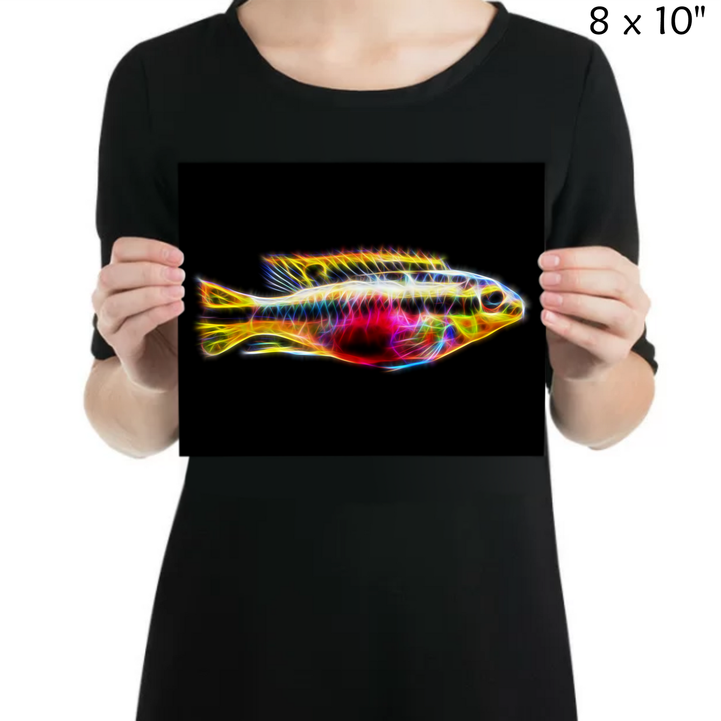 Kribensis Cichlid Metal Wall Plaque Pelvicachromis pulcher