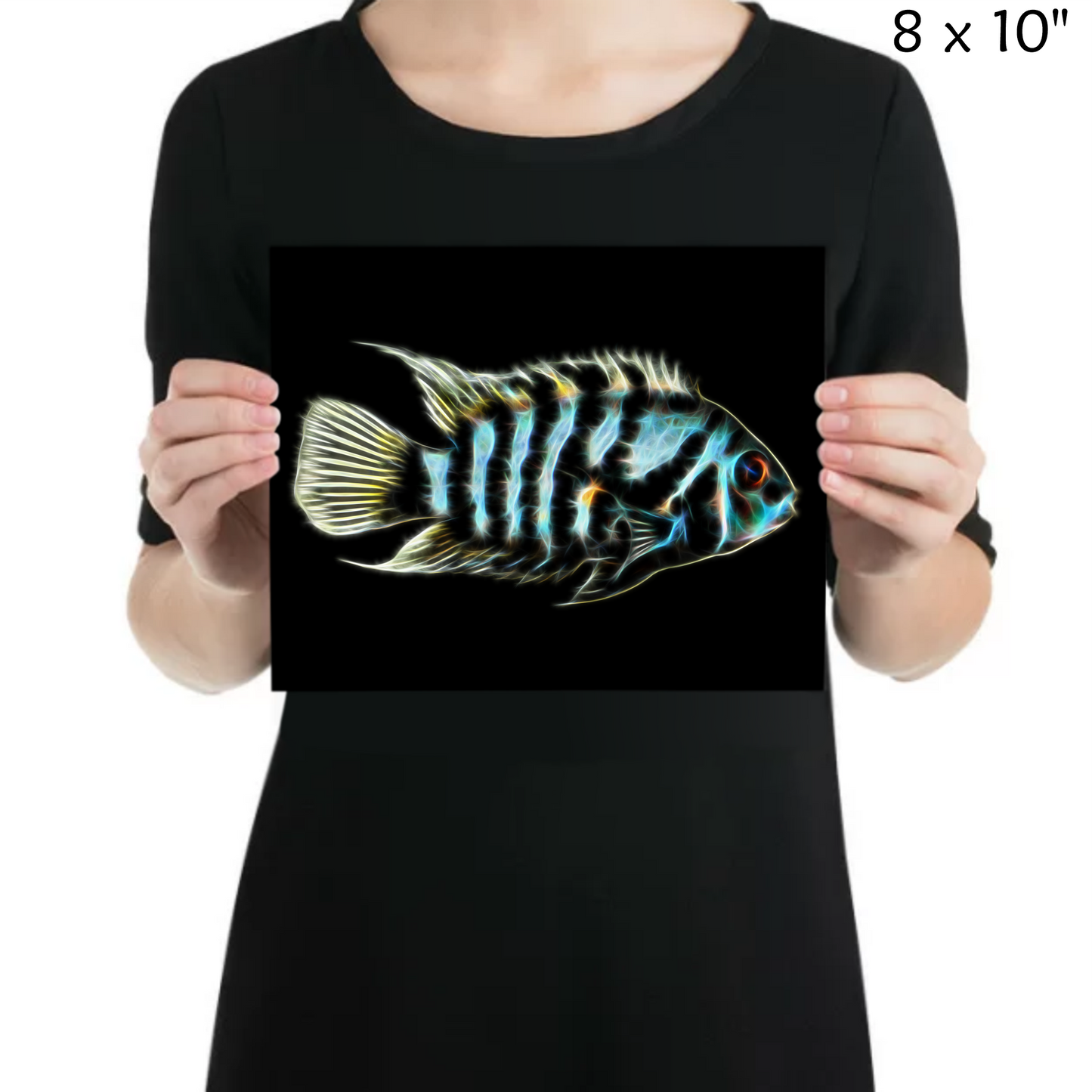 Convict Cichlid Metal Wall Plaque Amatitlania nigrofasciata
