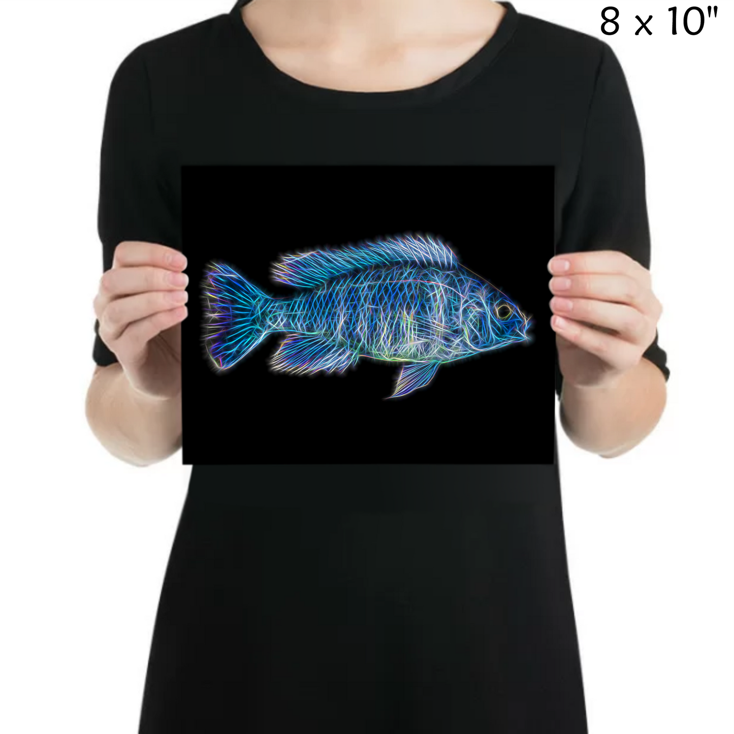 Star Sapphire Hap Cichlid Metal Wall Plaque Phenochilus Tanzania