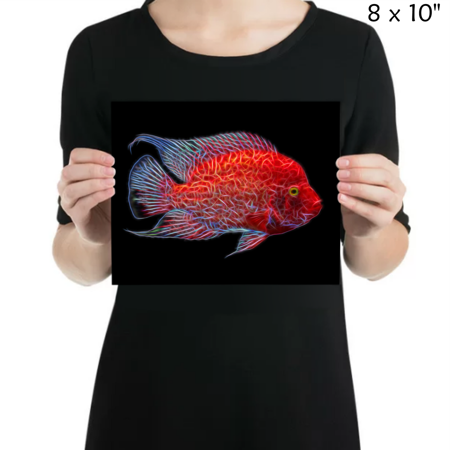 Red Texas Cichlid Print
