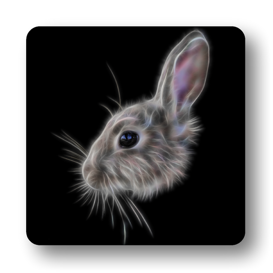 Rabbit Coaster