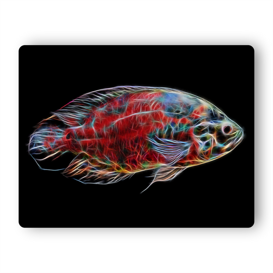 Oscar Cichlid Aluminium Metal Wall Plaque with Stunning Fractal Art Design.