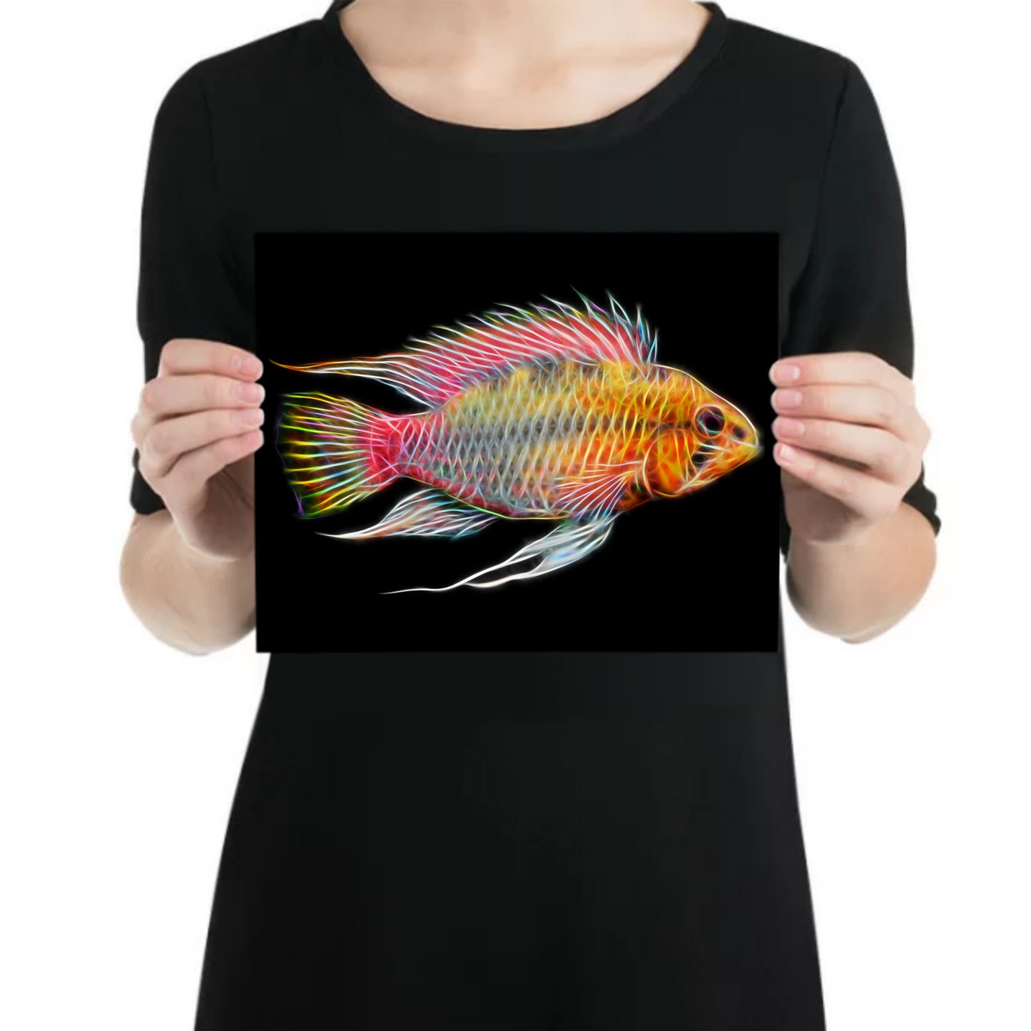 Red Line Dwarf Apistogramma Cichlid Metal Wall Plaque.