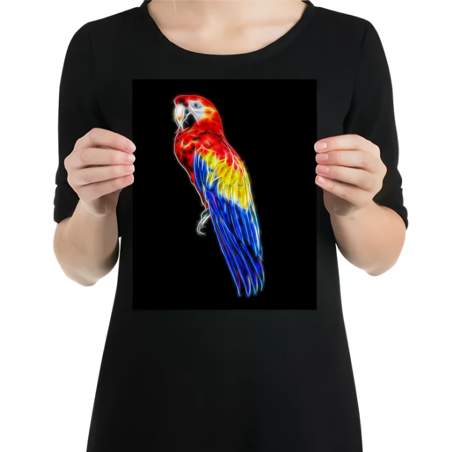 Scarlet Macaw Parrot Metal Wall Plaque
