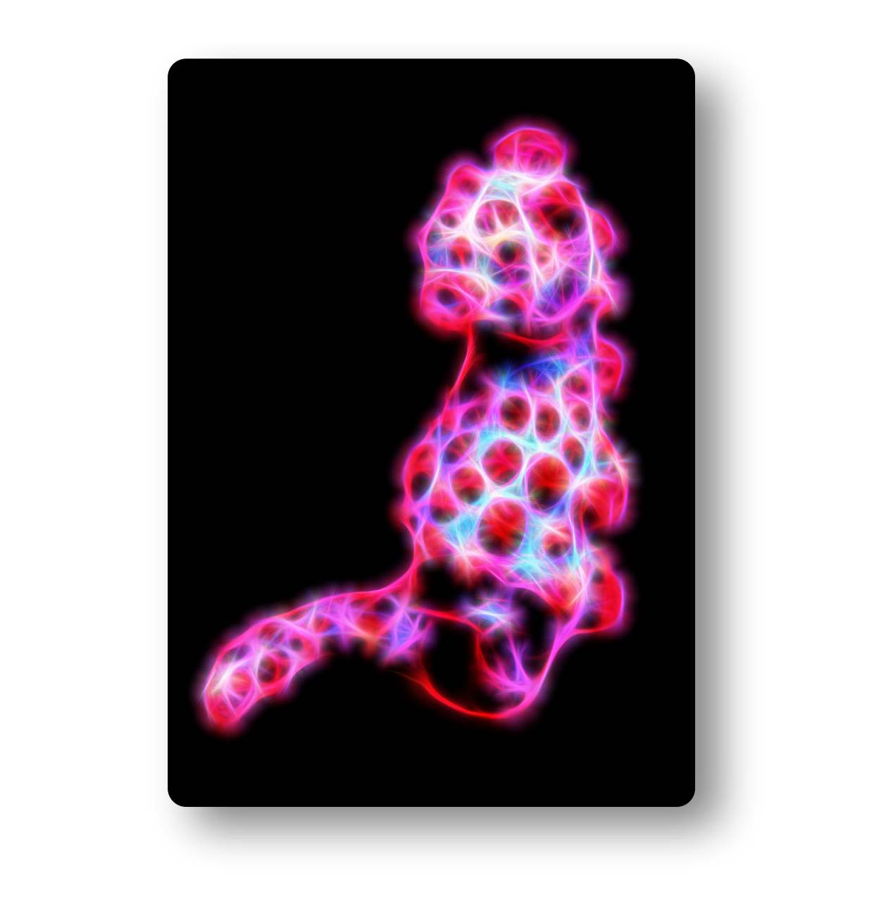 Seahorse (Pygmy) Fractal Art Metal Wall Plaque