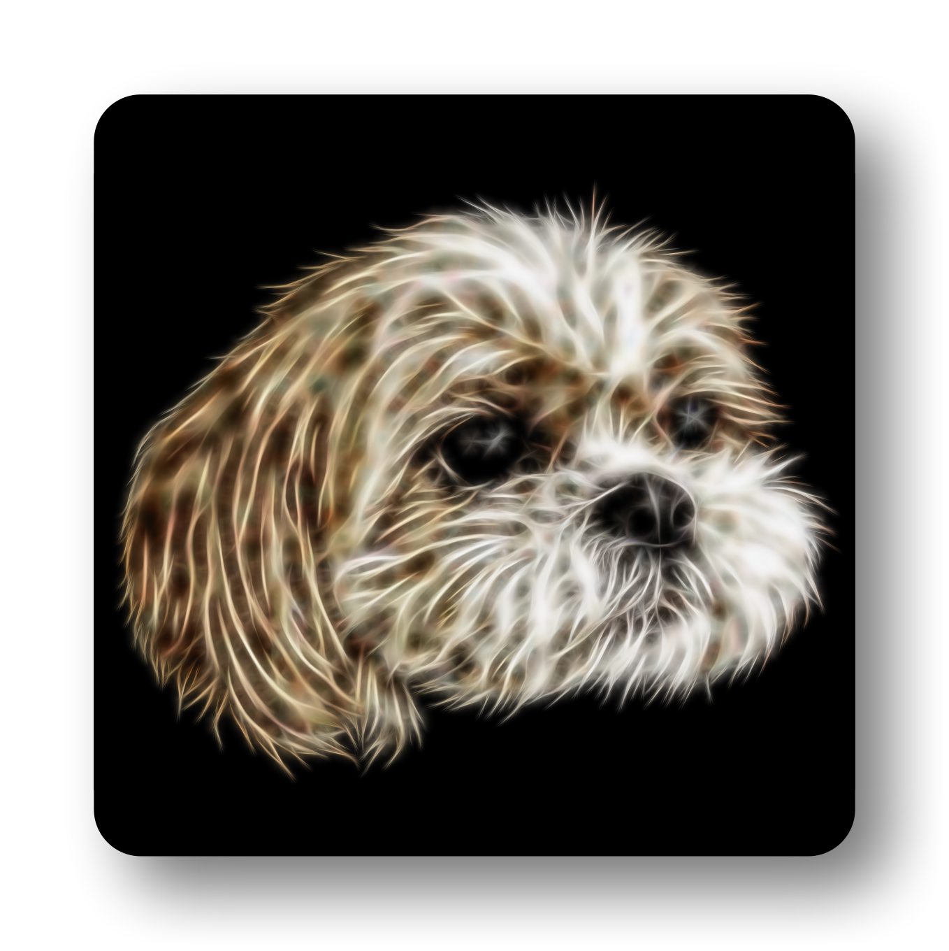 Shih Tzu #2 Coaster Fractal Art Design