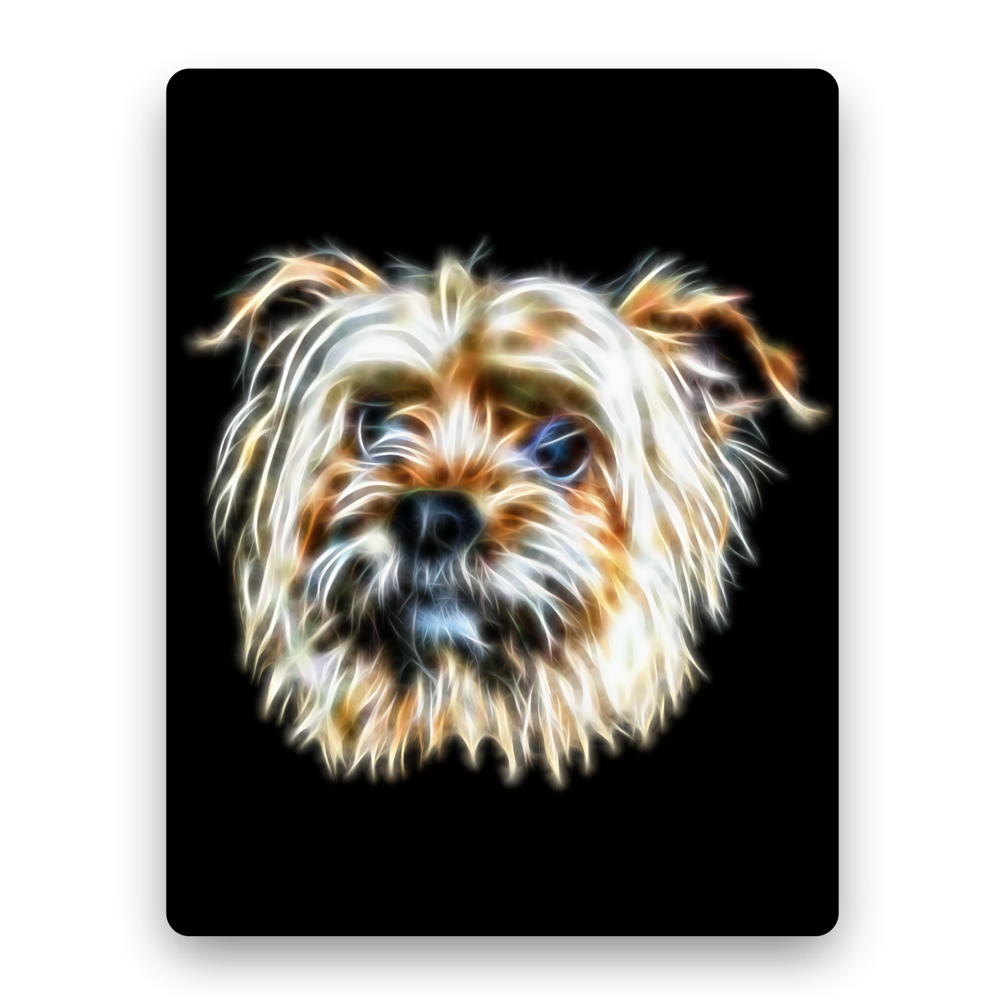 Shorkie Metal Wall Plaque