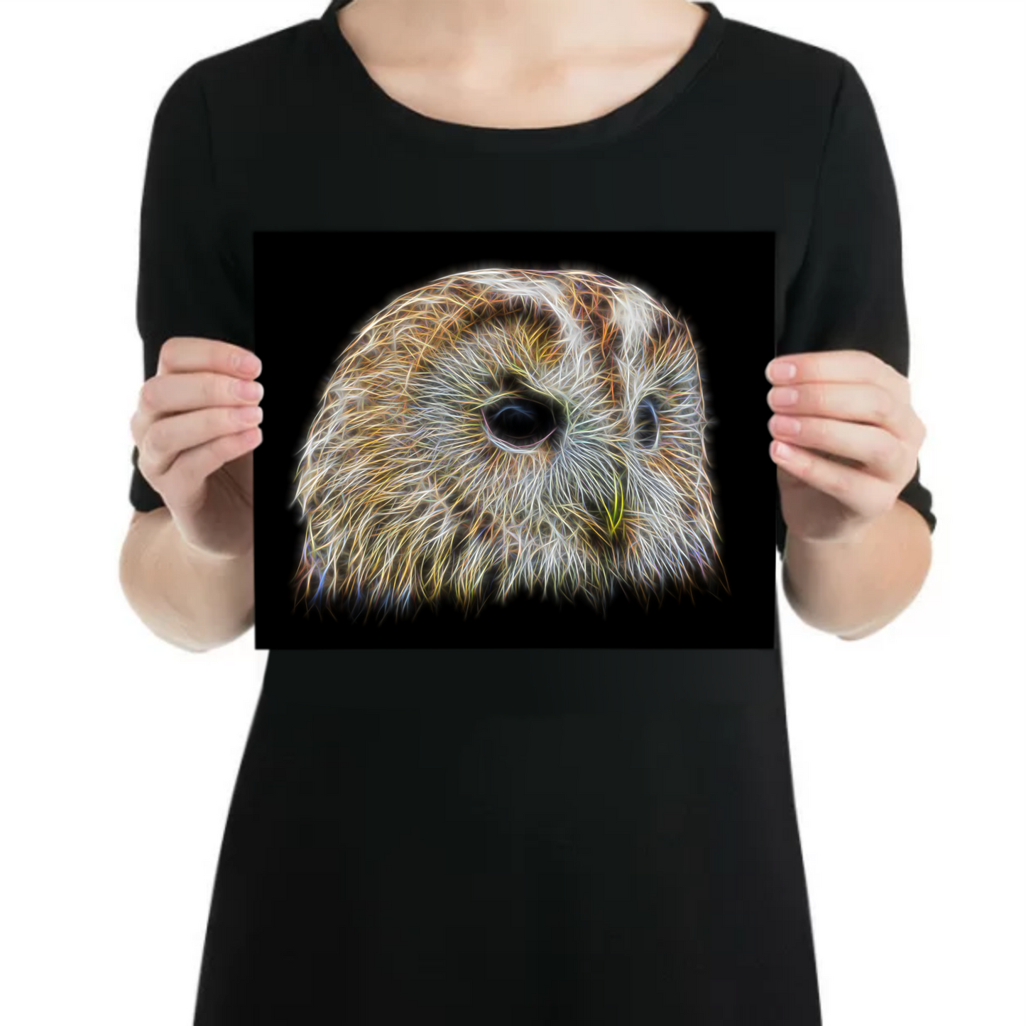Tawny Owl Metal Wall Plaque with Fractal Art Design