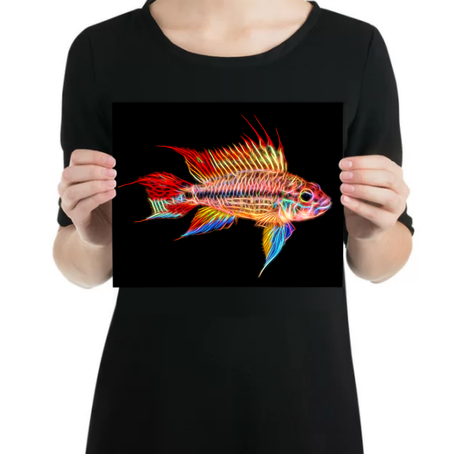 Super Red Cockatoo Cichlid Fish Aluminium Metal Wall Plaque.