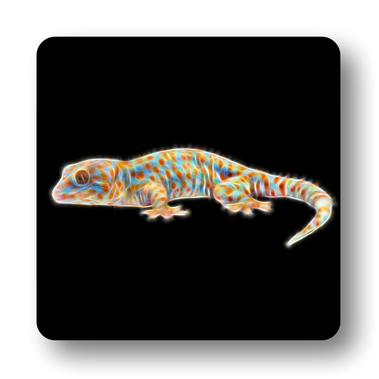 Reptile Coaster