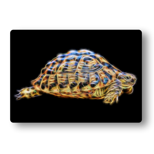 Tortoise Metal Wall Plaque