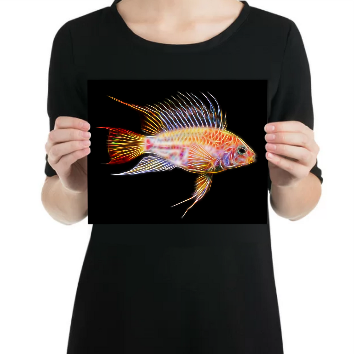 Gold Viejita Apistogramma Cichlid Fish Metal Wall Plaque.