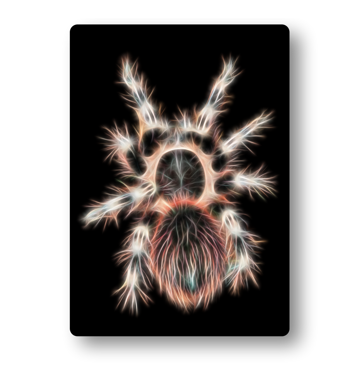 White Knee Tarantula Fractal Art Metal Wall Plaque