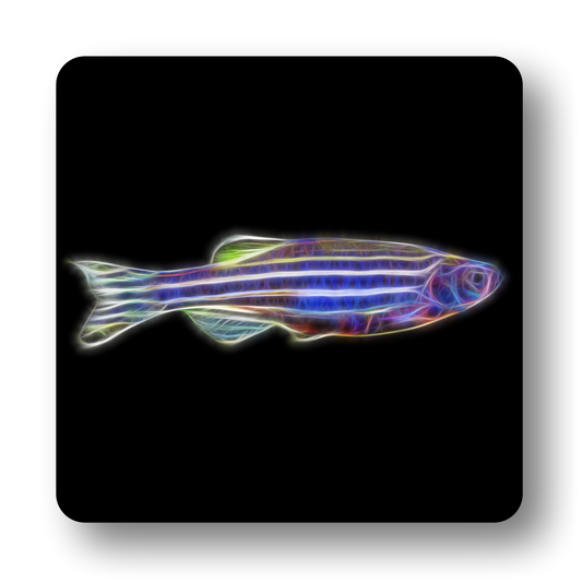 Freshwater Aquarium Fish Coasters - Various Designs