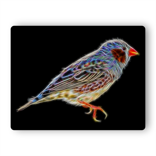 Zebra Finch Metal Wall Plaque