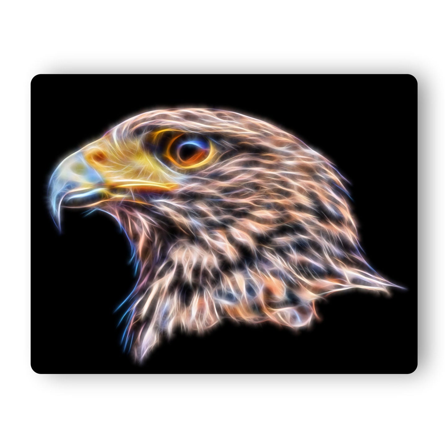 Harris Hawk Metal Wall Plaque with Stunning Fractal Art Design