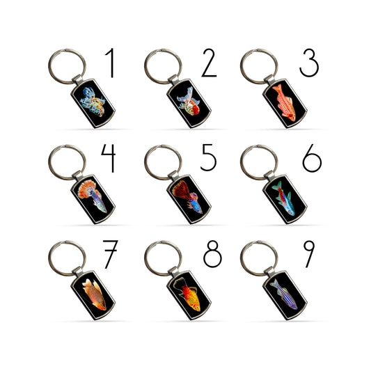 Fish Keychain / Keyring / Bagtag including Betta, Cichlid, Guppy, Discus, Angel. A Perfect Gift for Aquatic Lover.