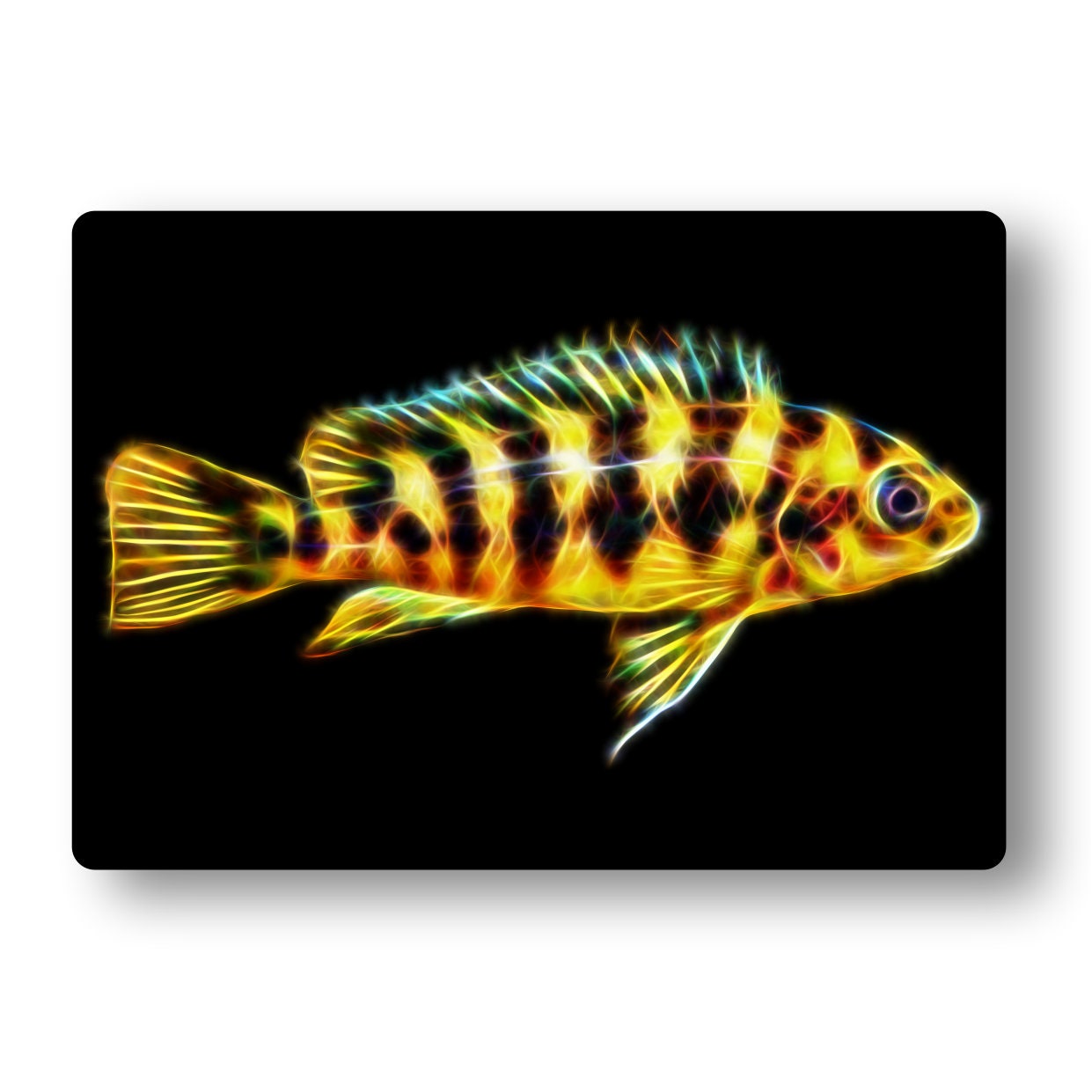 Cichlid Aluminium Metal Wall Plaque with Stunning Fractal Art Design.