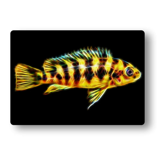 Cichlid Aluminium Metal Wall Plaque with Stunning Fractal Art Design.