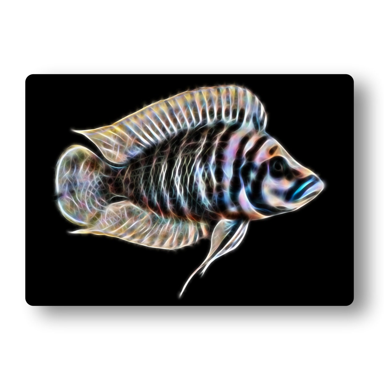 Cichlid Aluminium Metal Wall Plaque with Stunning Fractal Art Design.