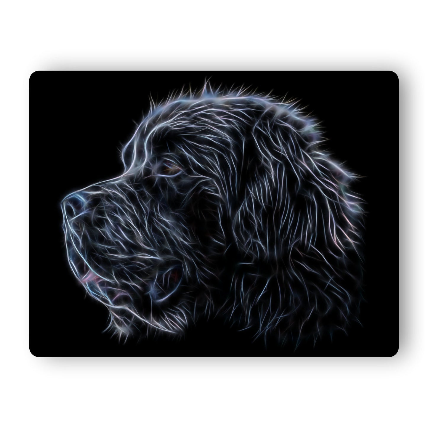 Black Newfoundland Dog Metal Wall Plaque with Fractal Art Design.