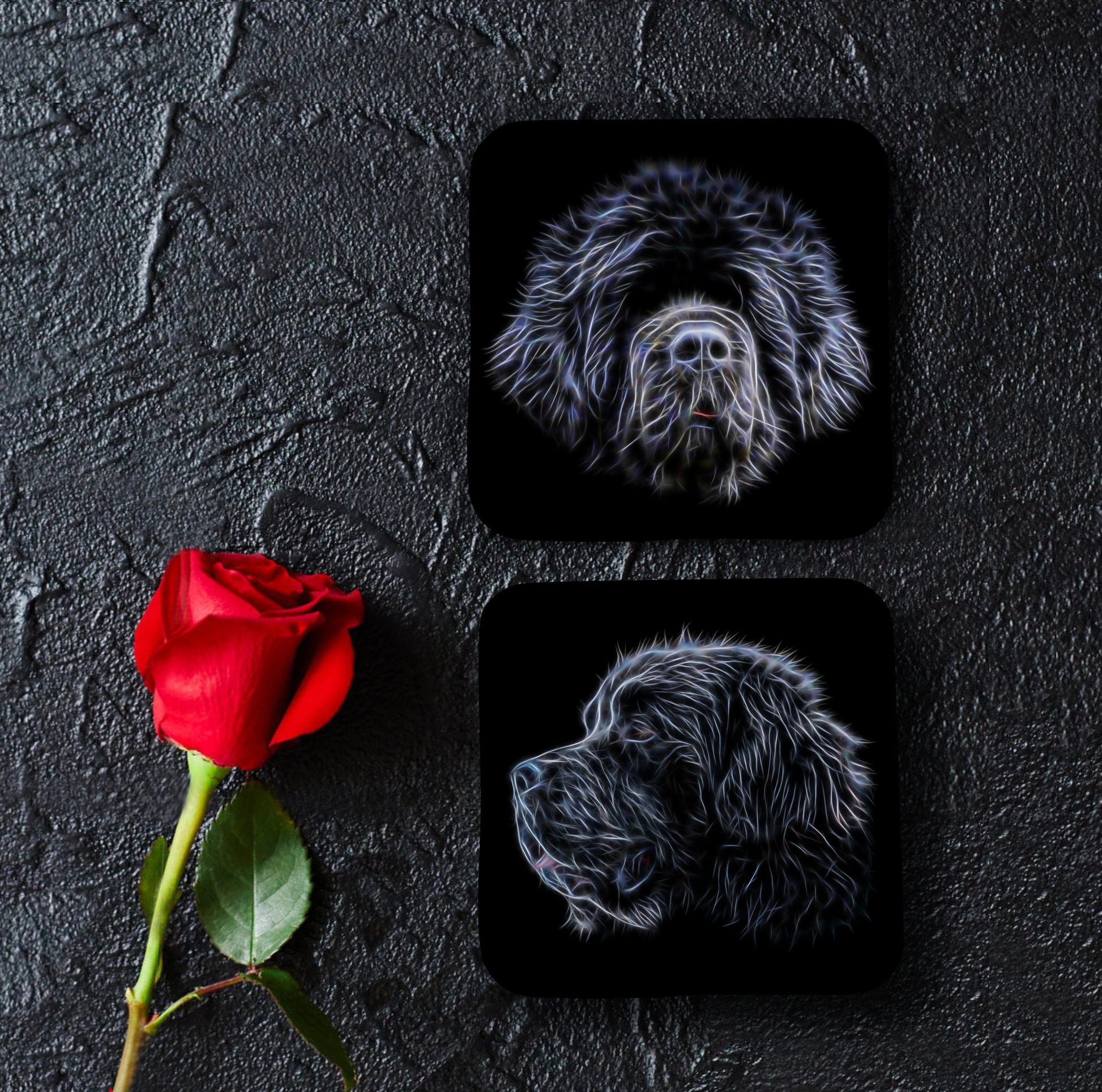 Newfoundland Coasters, Set of 2, with Stunning Fractal Art Design.