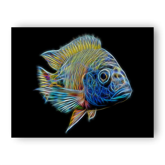 Cichlid Prints with Stunning Fractal Art Design.