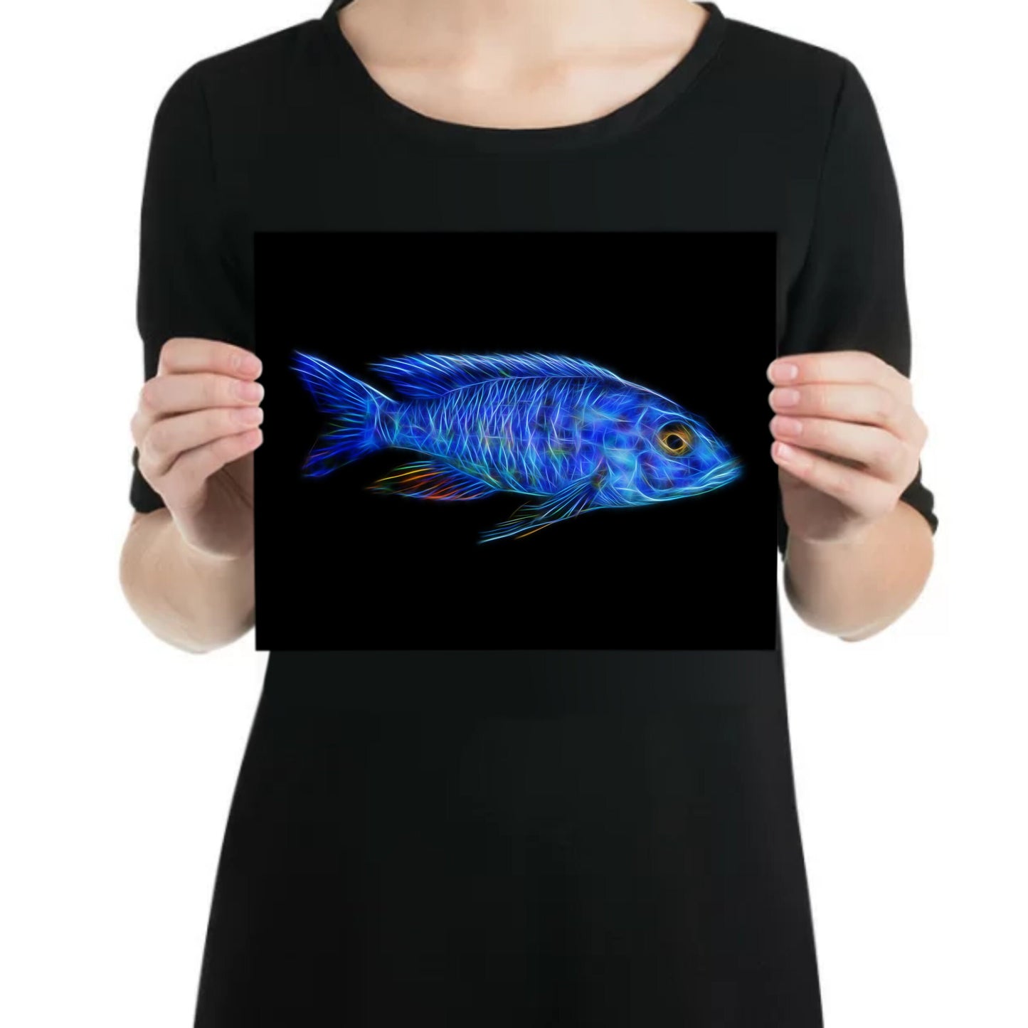 Electric Blue Hap Cichlid Aluminium Metal Wall Plaque with Stunning Fractal Art Design. Sciaenochromis Fryeri