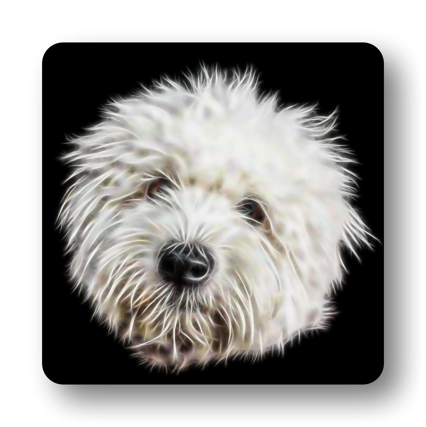 Coton De Tulear Coasters, Set of 2, with Stunning Fractal Art Design.