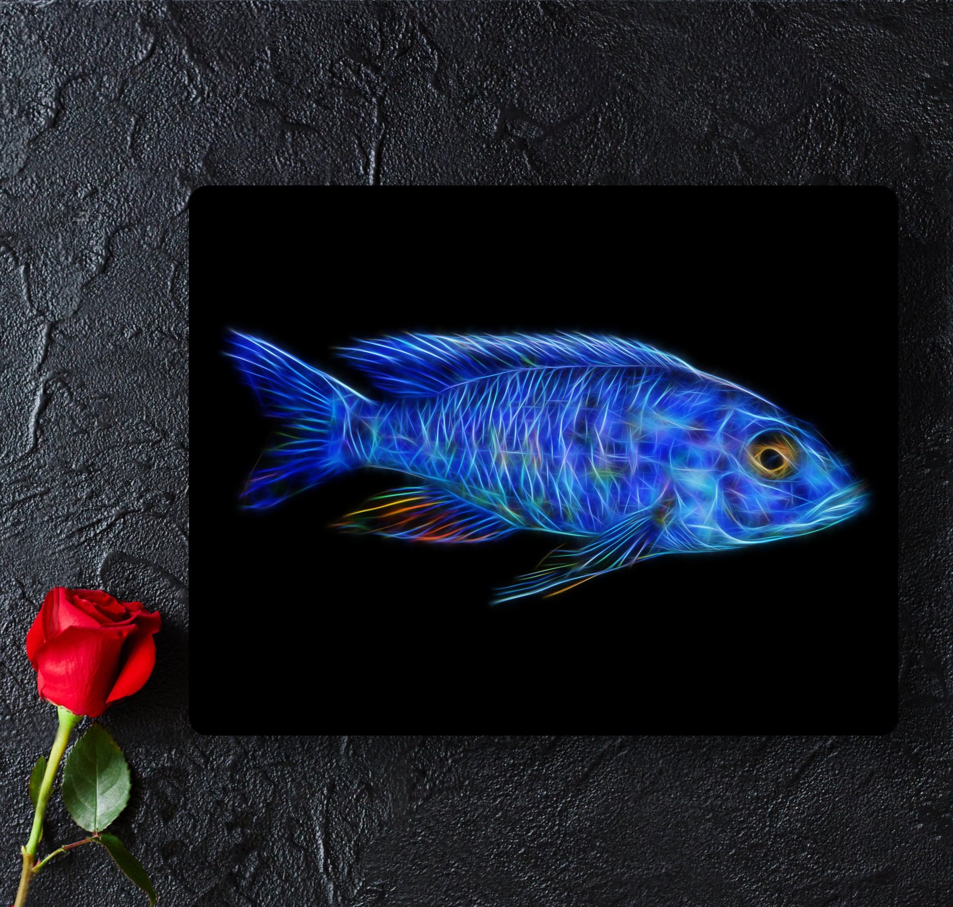 Electric Blue Hap Cichlid Aluminium Metal Wall Plaque with Stunning Fractal Art Design. Sciaenochromis Fryeri