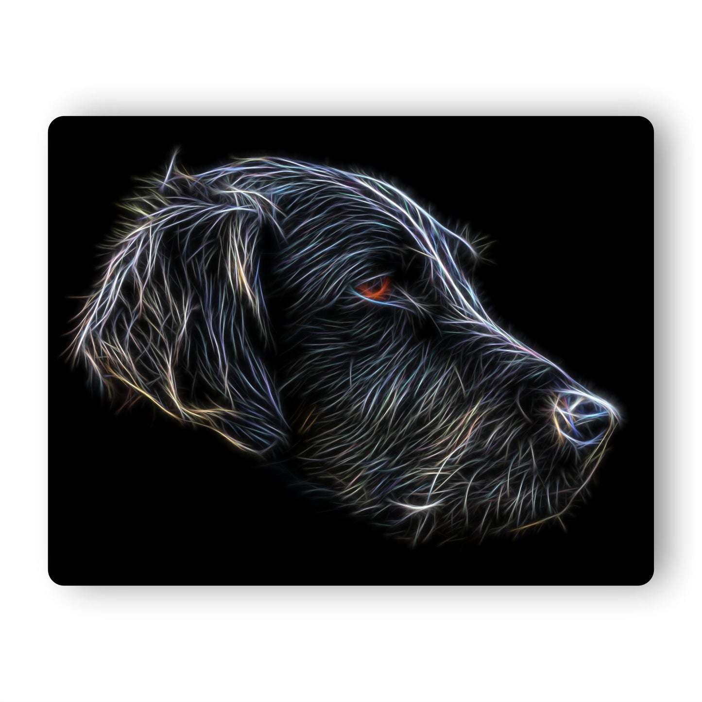 Flat Coated Retriever Metal Wall Plaque with Stunning Fractal Art Design.