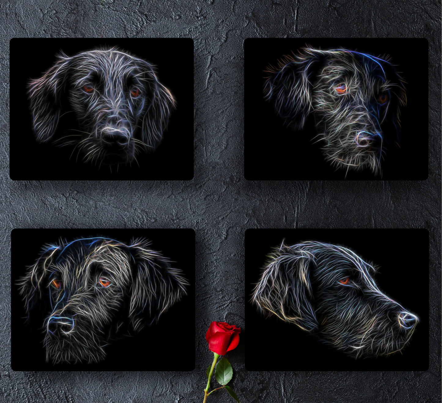 Flat Coated Retriever Metal Wall Plaque with Stunning Fractal Art Design.