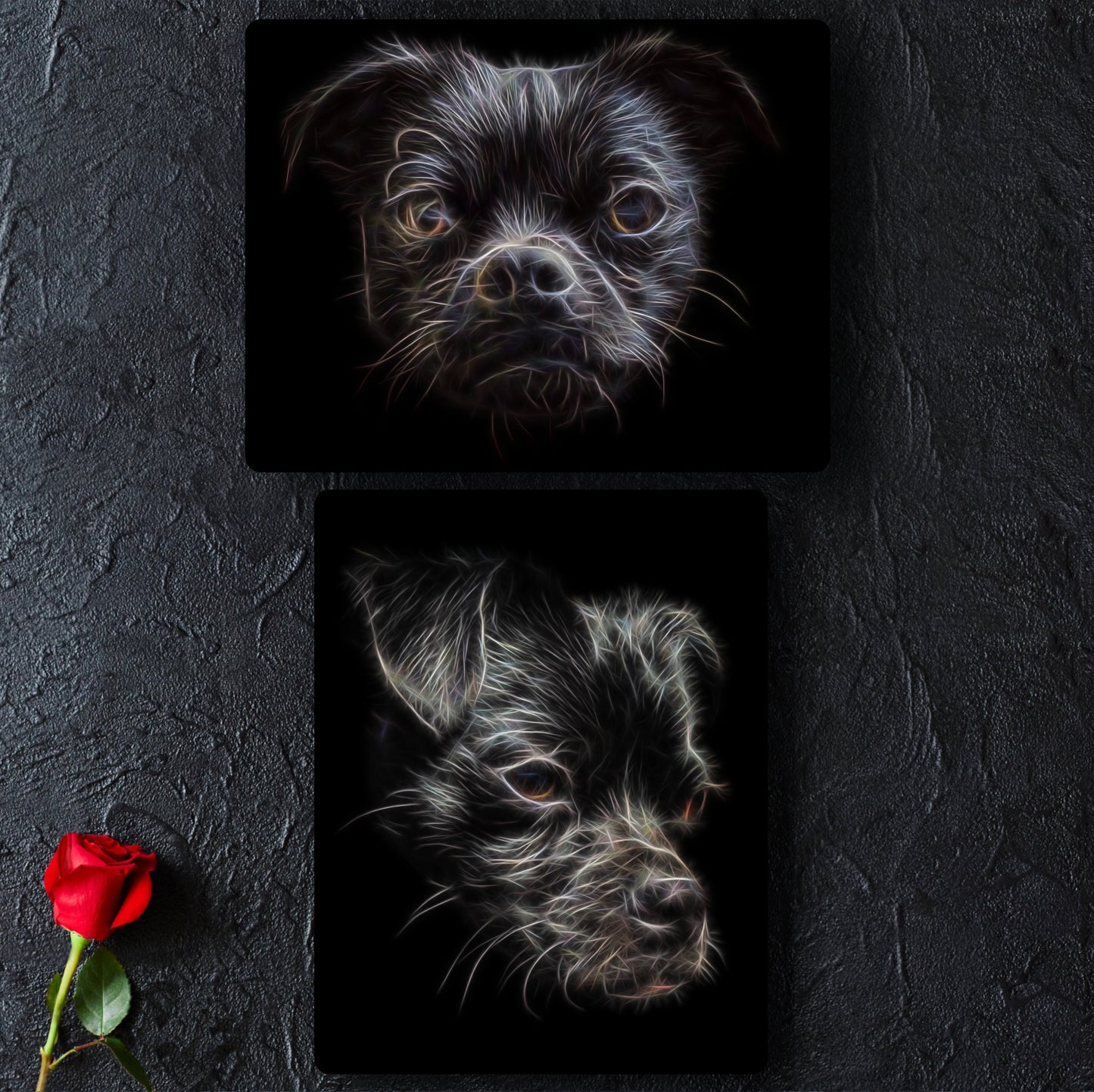 Black Chug Dog Metal Wall Plaque with Fractal Art Design.