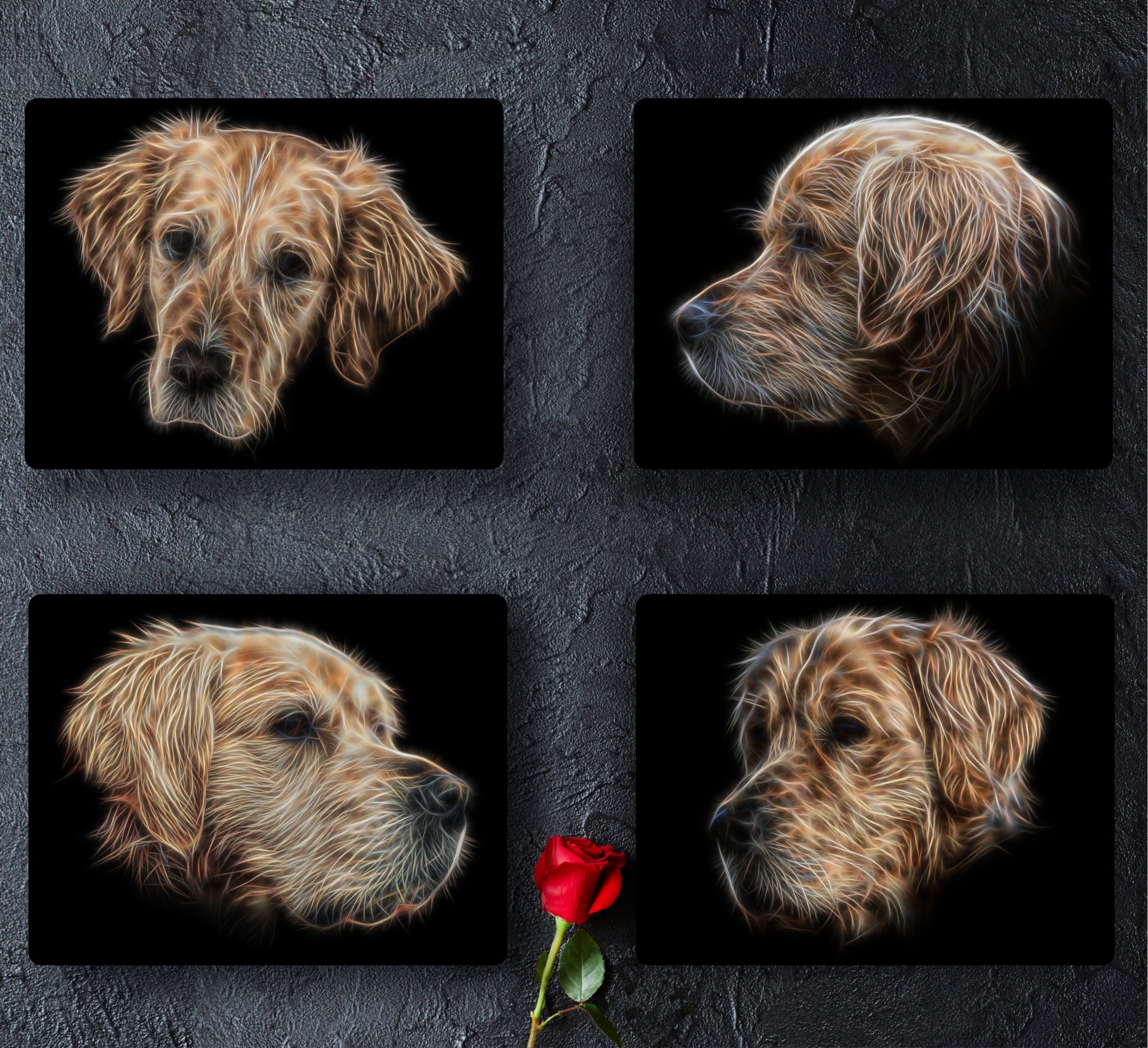 Golden Retriever Metal Wall Plaque with Stunning Fractal Art Design.