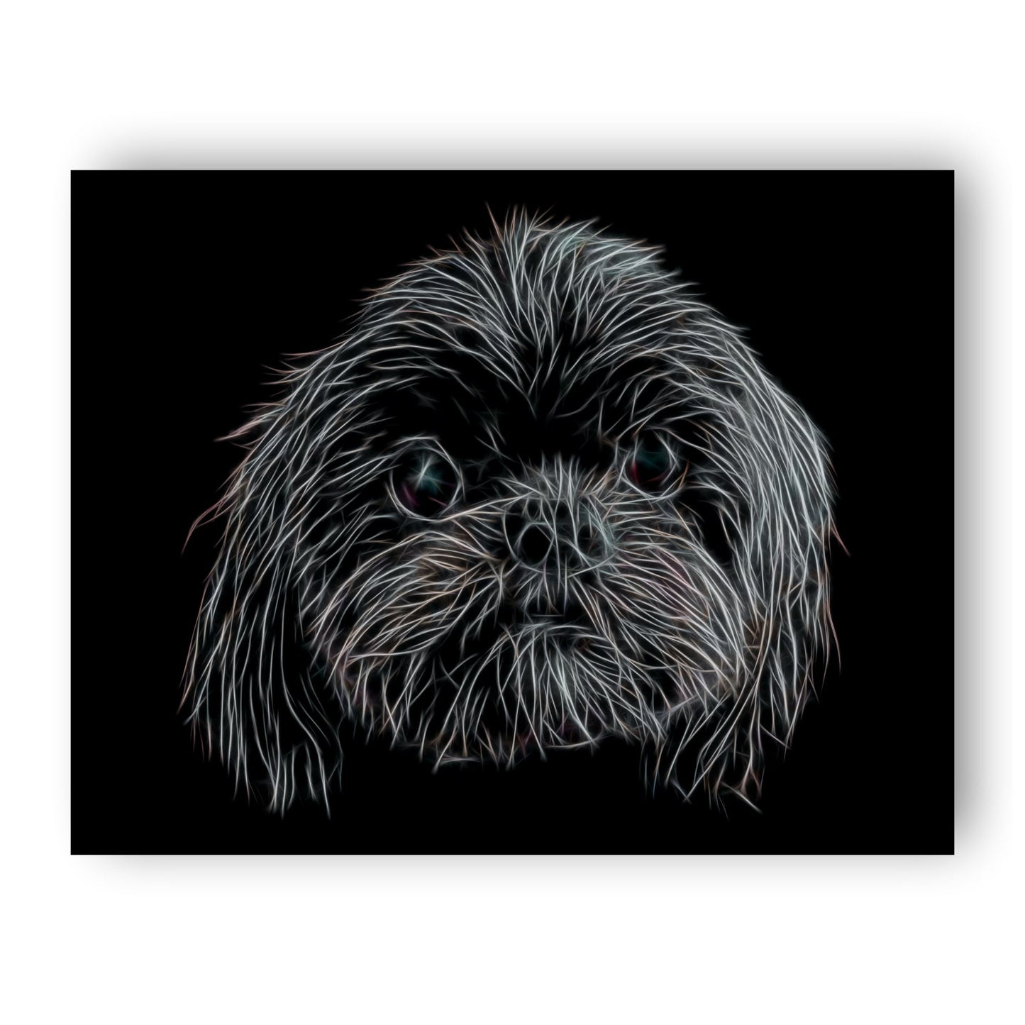 Black Shih Tzu Print with Stunning Fractal Art Design. Various Sizes Available