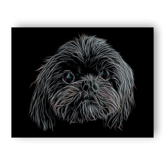 Black Shih Tzu Print with Stunning Fractal Art Design. Various Sizes Available