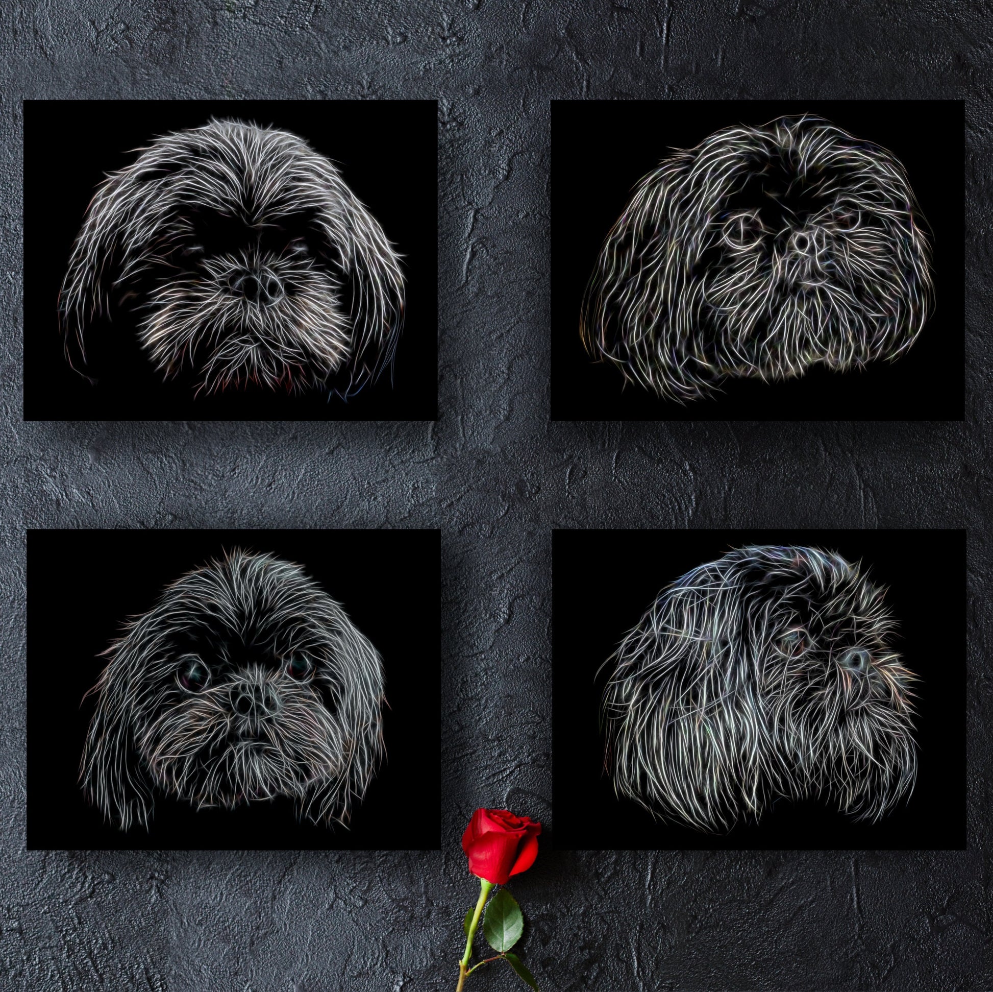 Black Shih Tzu Print with Stunning Fractal Art Design. Various Sizes Available