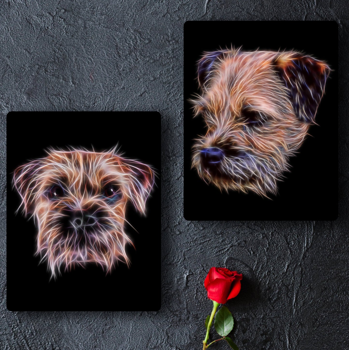 Border Terrier Metal Wall Plaque with Stunning Fractal Art Design.