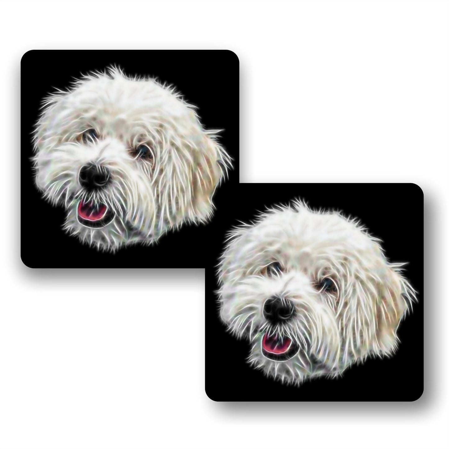 Coton De Tulear Coasters, Set of 2, with Stunning Fractal Art Design.