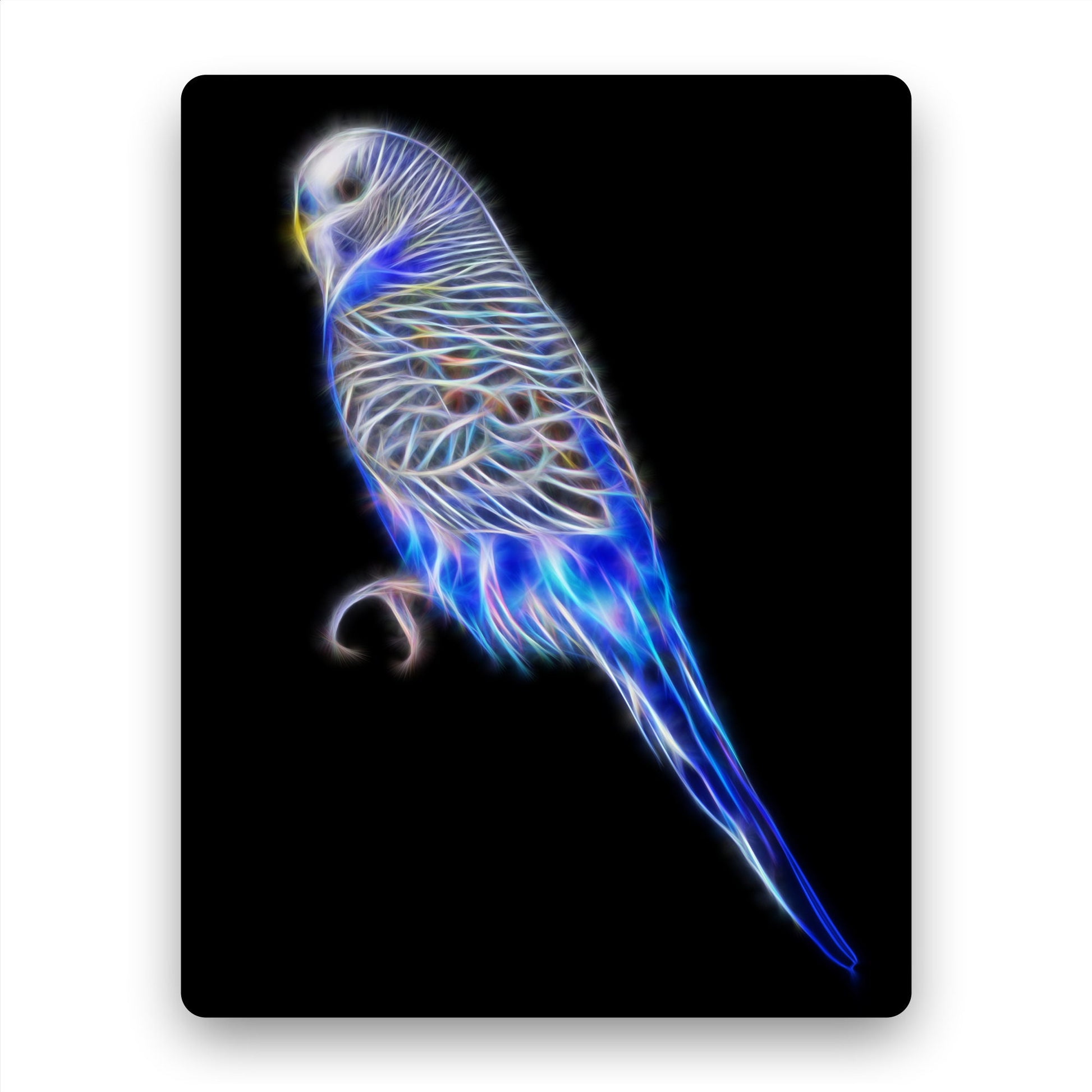Budgie Metal Wall Plaque with Stunning Fractal Art Design. Blue or Green Budgerigar