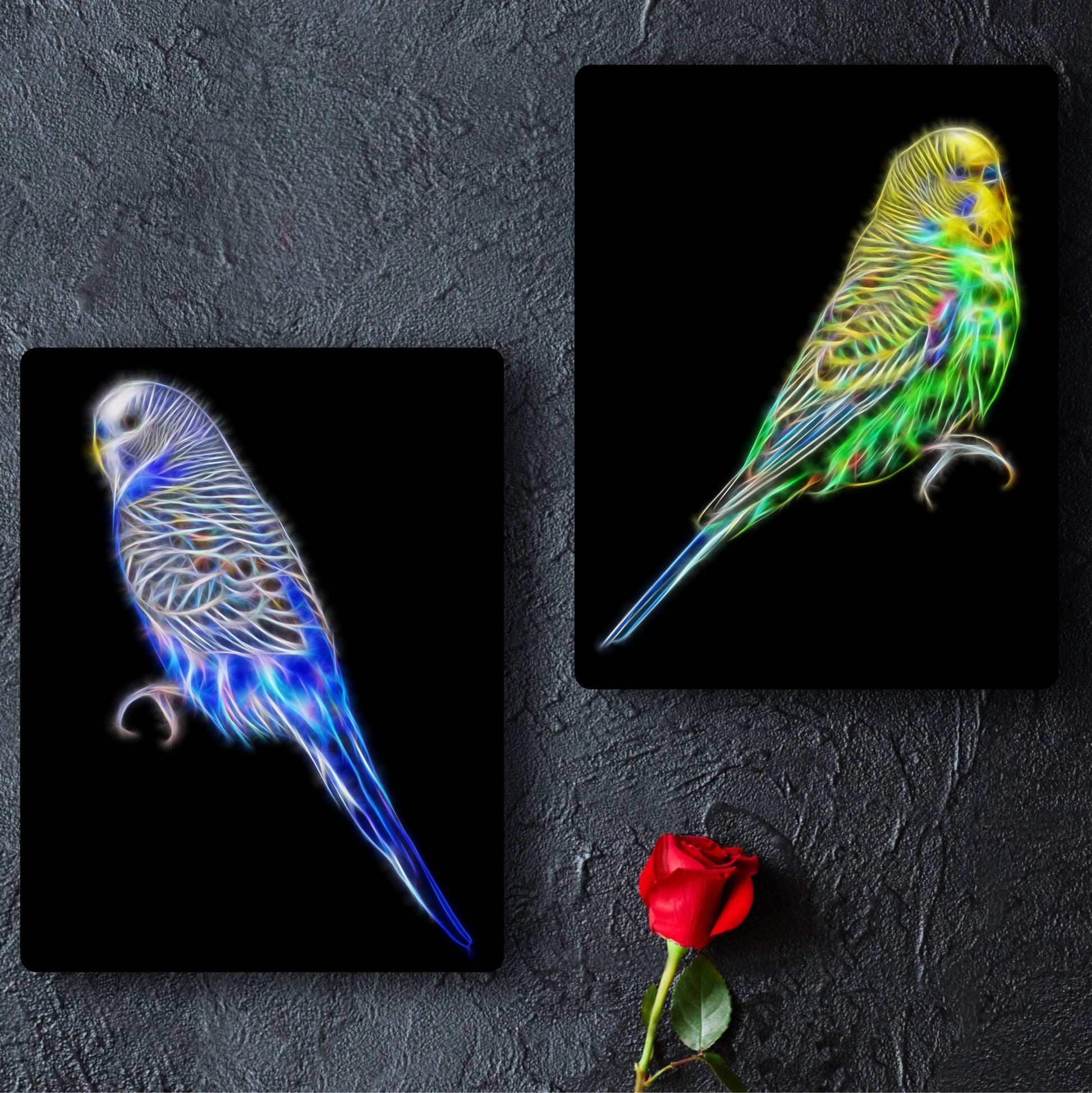 Budgie Metal Wall Plaque with Stunning Fractal Art Design. Blue or Green Budgerigar