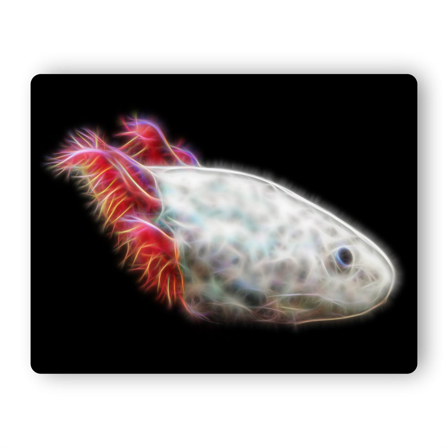 Pink Axolotl Aluminium Metal Wall Plaque with Stunning Fractal Art Design