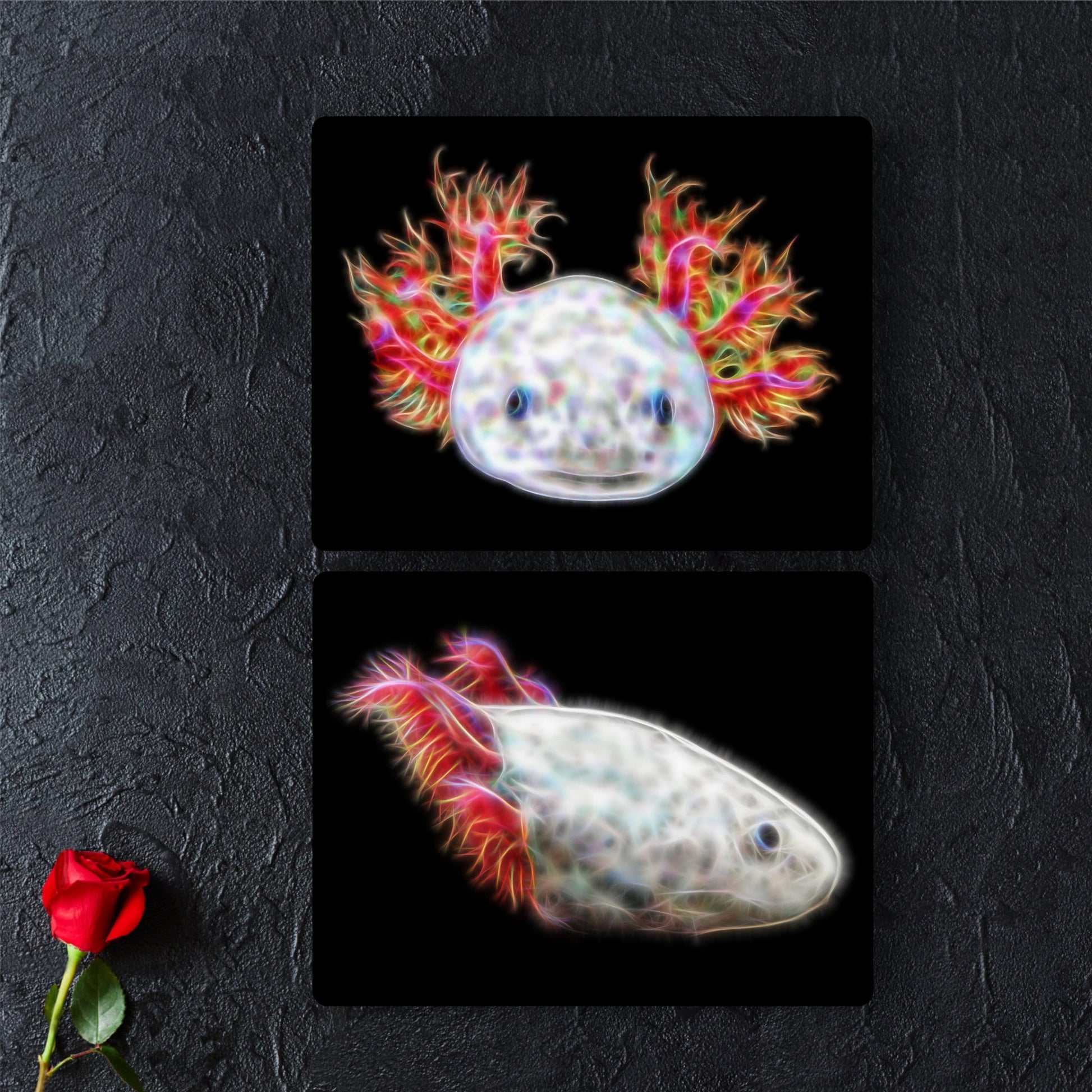 Pink Axolotl Aluminium Metal Wall Plaque with Stunning Fractal Art Design
