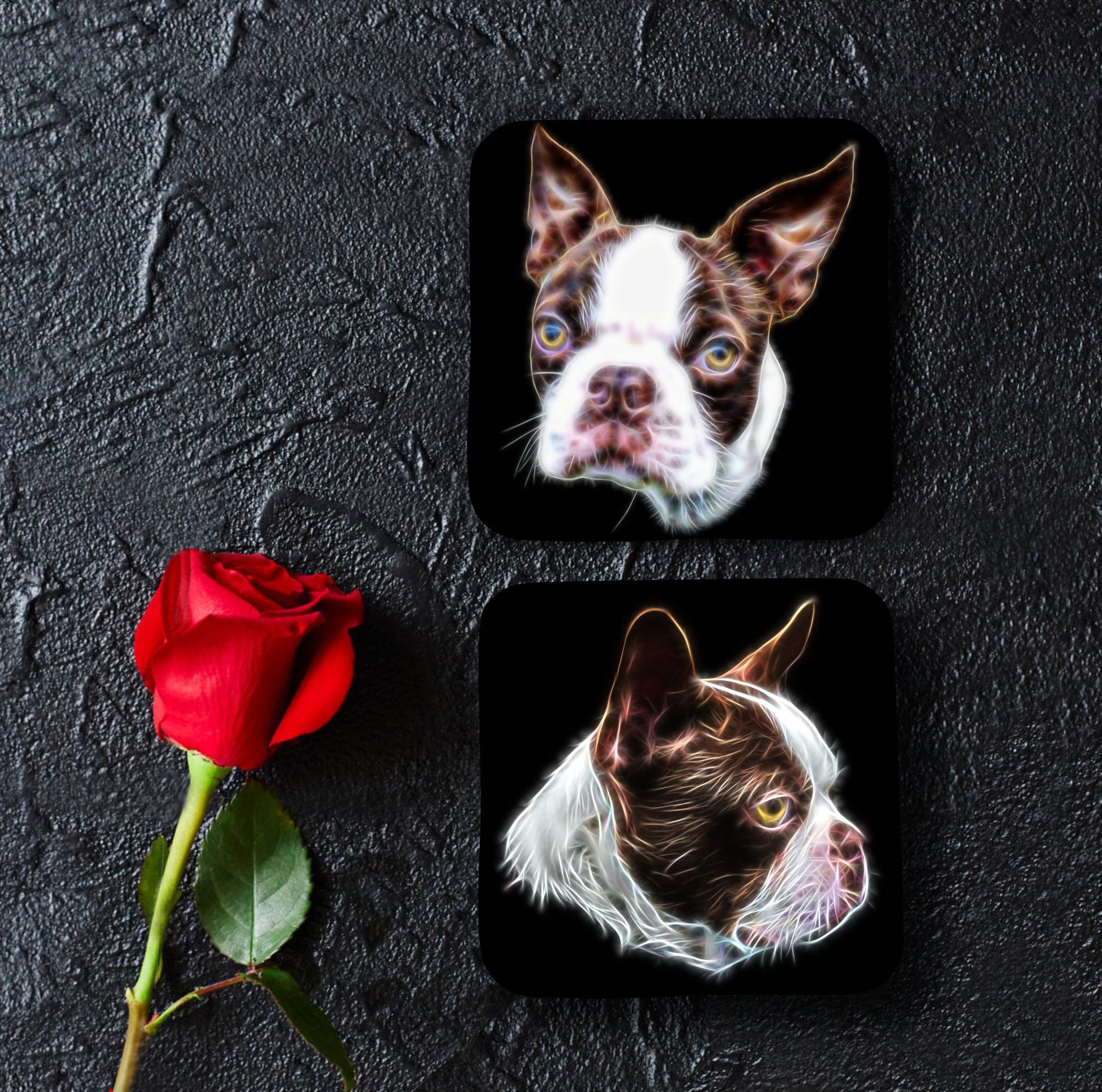 Brown and White Boston Terrier Coasters, Set of 2, with Stunning Fractal Art Design.