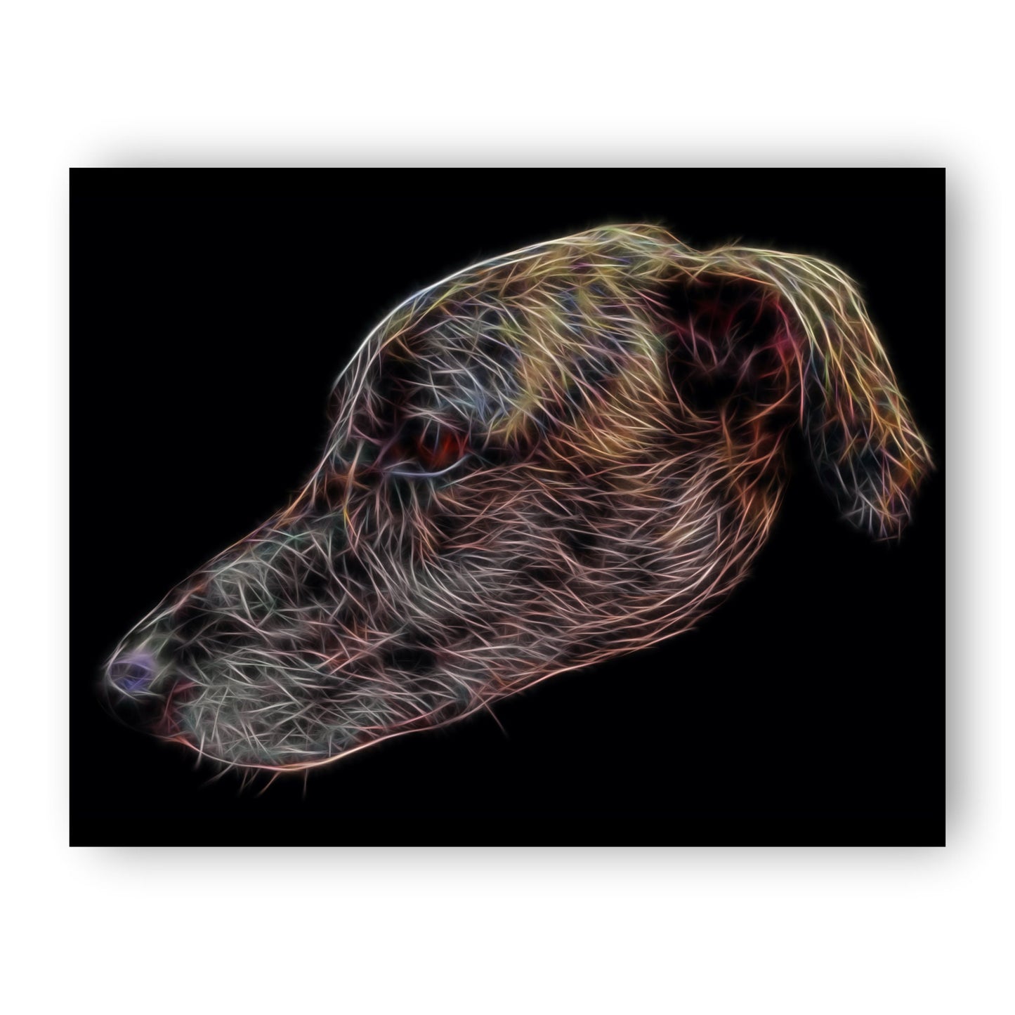 Brindle Lurcher Print with Stunning Fractal Art Design. Various Sizes Available