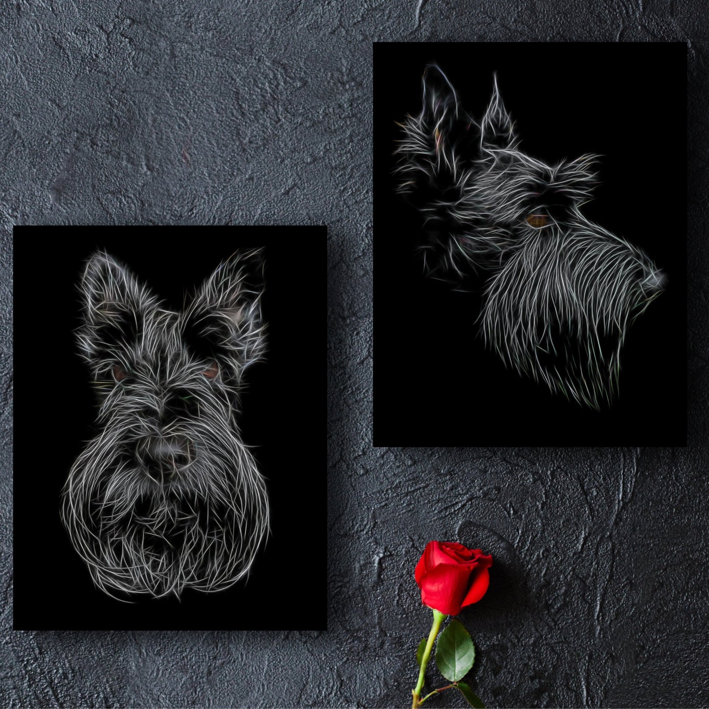 Scottish Terrier Print with Stunning Fractal Art Design. Various Sizes Available
