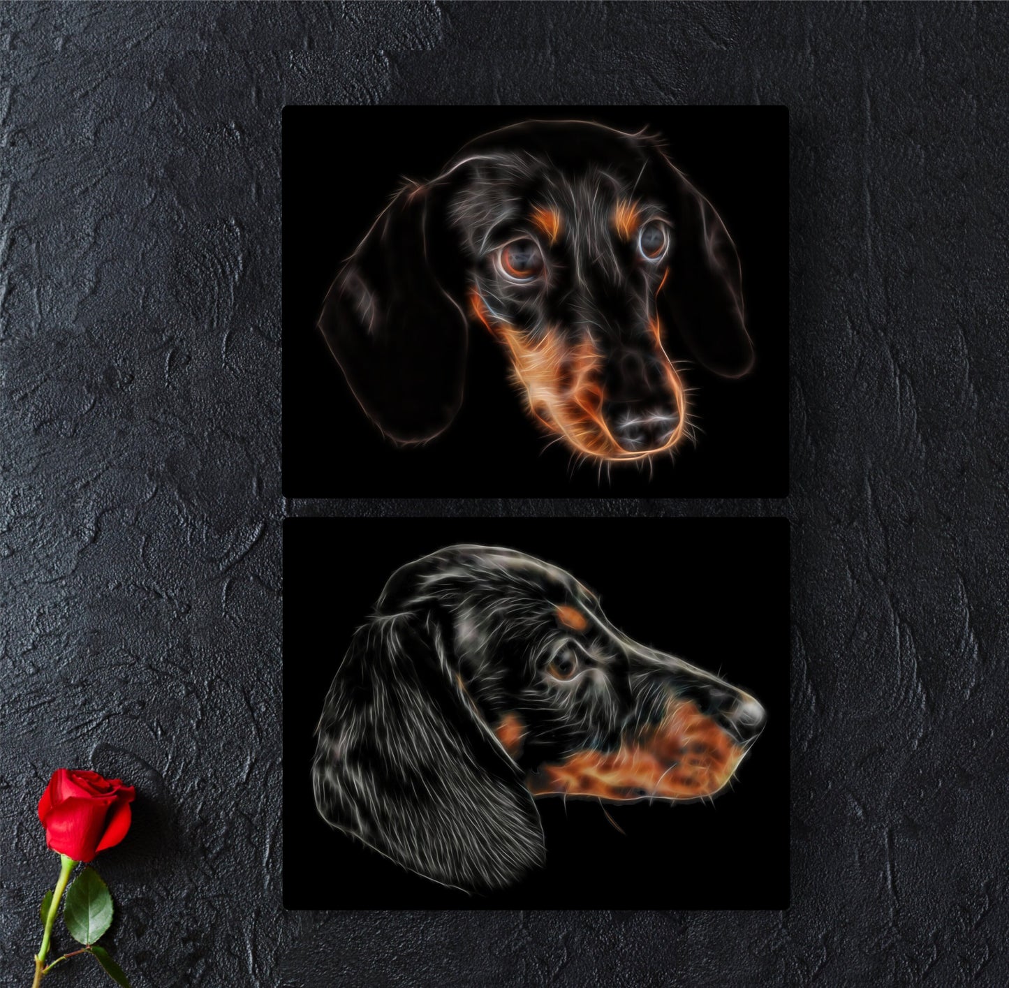 Black and Tan Dachshund Aluminium Metal Wall Plaque with Stunning Fractal Art Design.