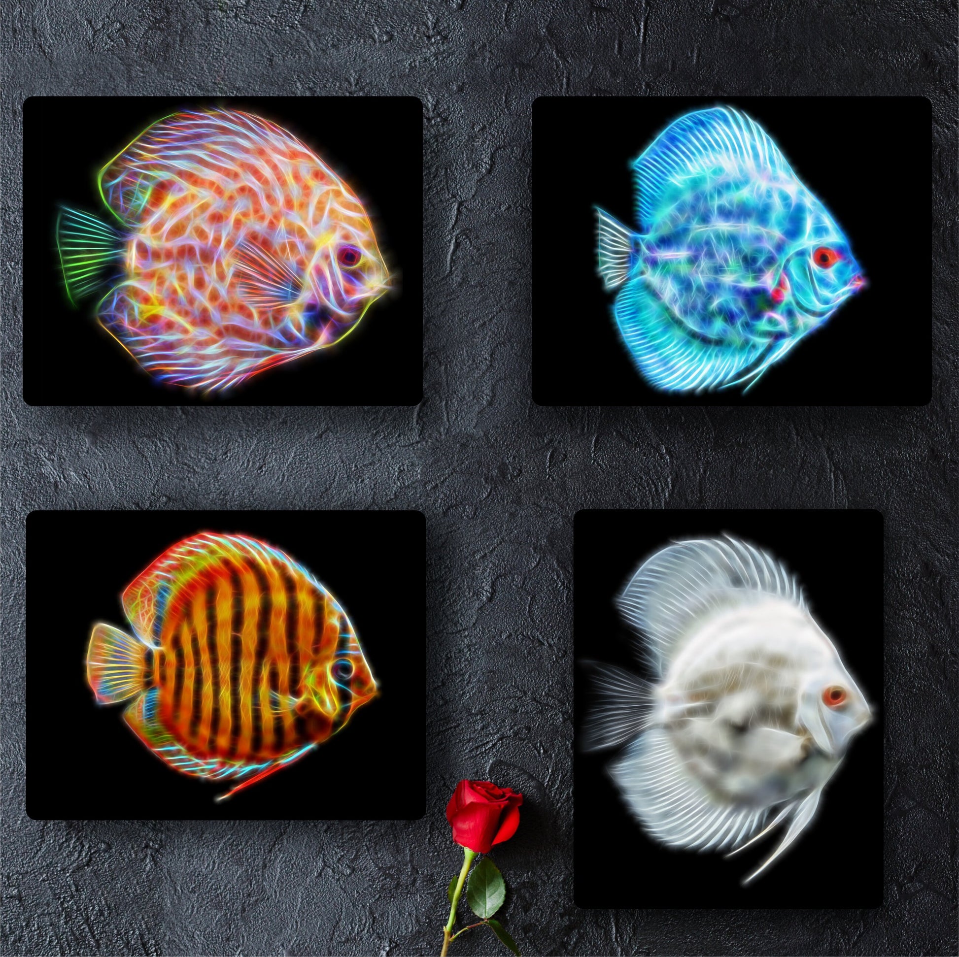 Custom Fish Portrait Print from your own Photos.
