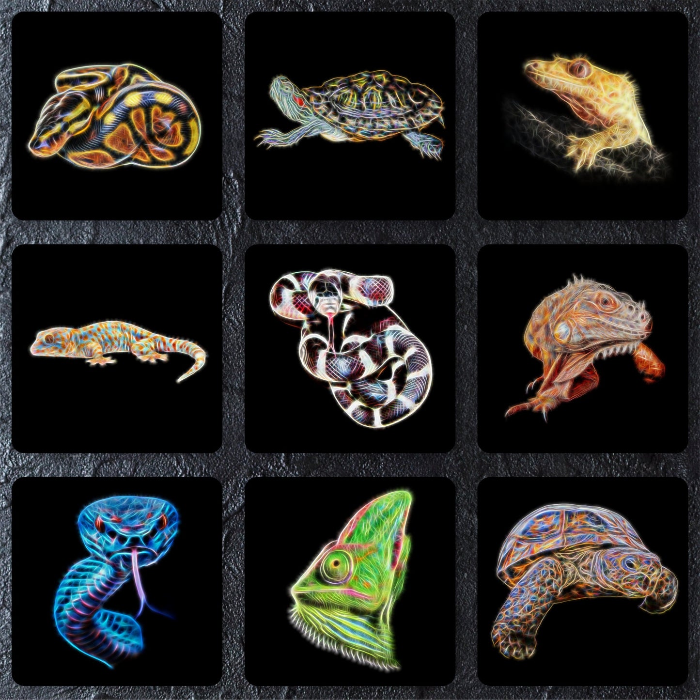 Any 2 Coasters and gift box from Fractal Artworks