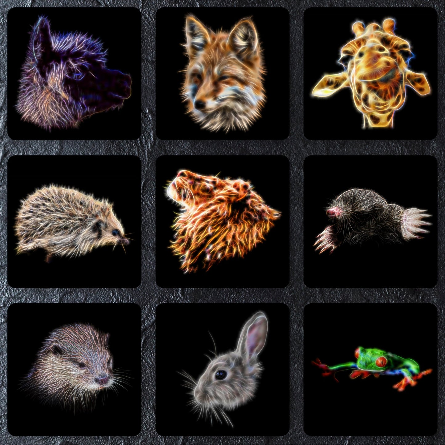 Any 2 Coasters and gift box from Fractal Artworks
